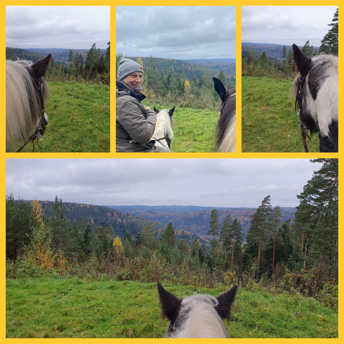 2023 11 November 593